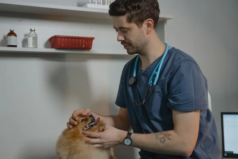 Koruyucu Aşı ve Düzenli Check-up