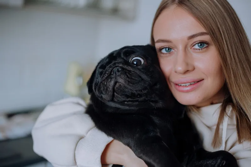 Köpeklerde Diş Sağlığını Korumanın Günlük Yolları